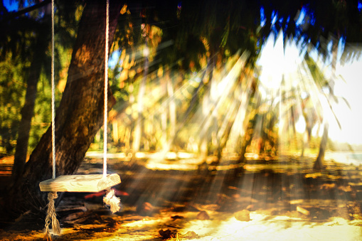 Rope swing in the tropical forest