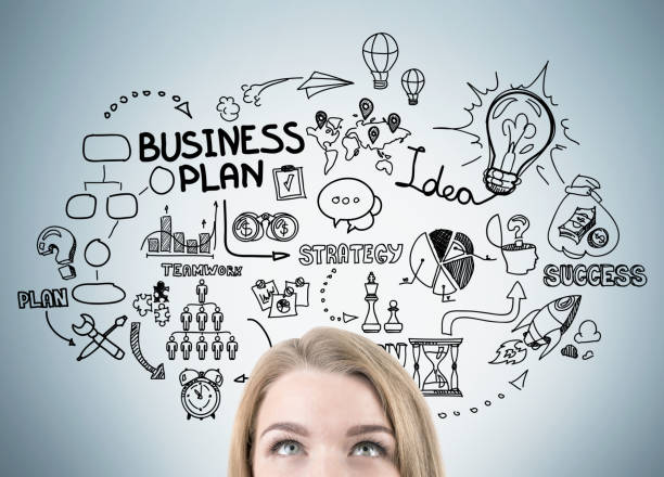 istock Businesswoman's head and business plan sketch 647333818