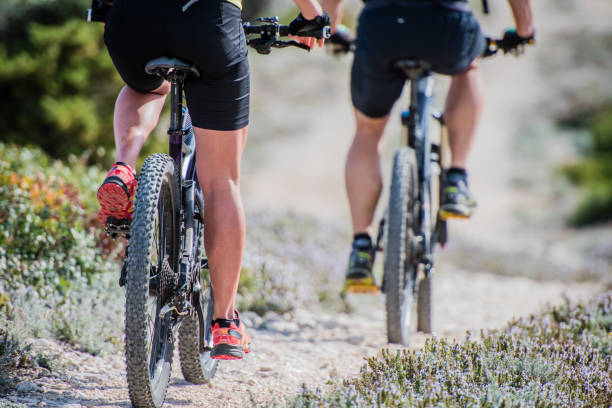 istock Couple cycling on bicycle trail 647345318