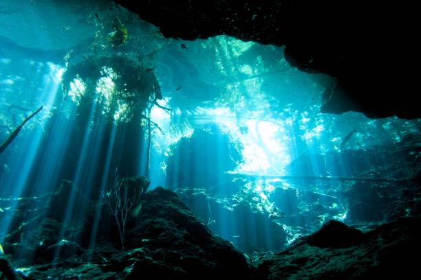 istock Cave and Cavern Scuba Diving in a Cenote or sink hole. 647358940