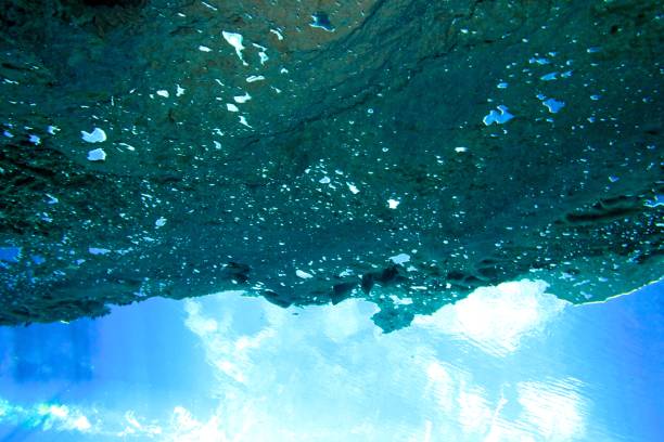 istock Cave and Cavern Scuba Diving in a Cenote or sink hole. 647359888