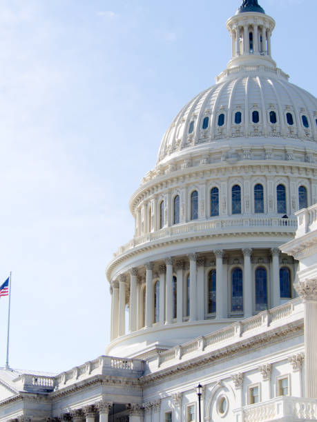 cúpula del capitolio de estados unidos en washington dc - state representatives fotografías e imágenes de stock