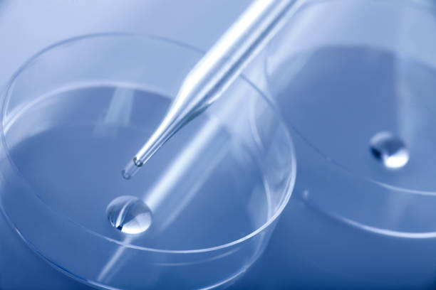 istock Petri dishes and pipette 647363500