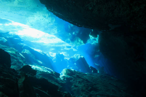 istock Cave and Cavern Scuba Diving in a Cenote or sink hole. 647366340