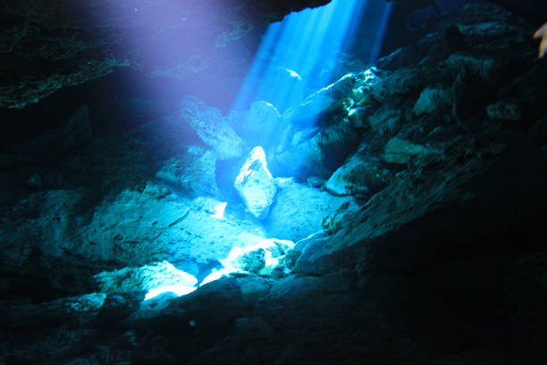 istock Cave and Cavern Scuba Diving in a Cenote or sink hole. 647368820