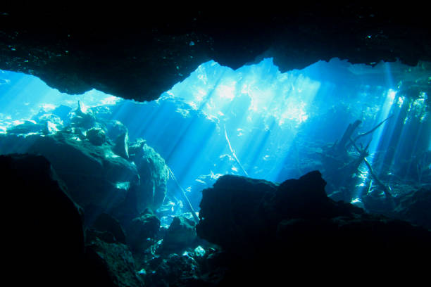istock Cave and Cavern Scuba Diving in a Cenote or sink hole. 647368822