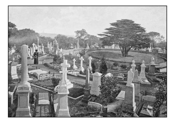 antike londons fotos: highgate cemetery - highgate cemetery stock-grafiken, -clipart, -cartoons und -symbole