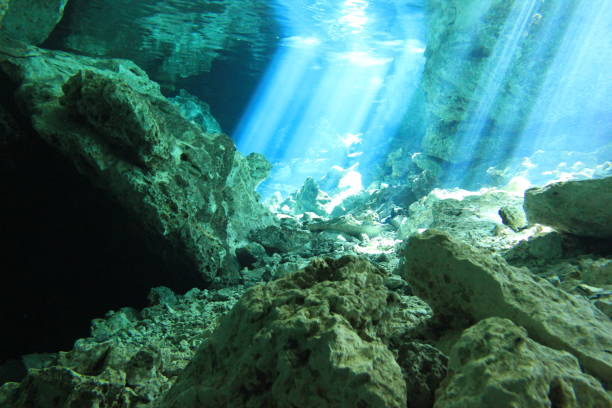 istock Cave and Cavern Scuba Diving in a Cenote or sink hole. 647373620