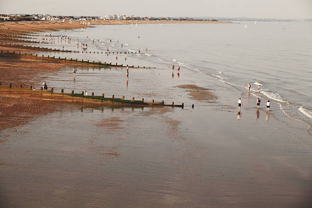 istock High Angle View Of People At Beach 647384421