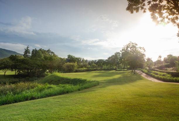istock Landscape Scenery , Green Grass and Pond on  Blue Sky Background 647385224