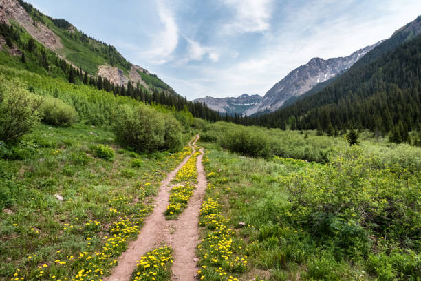 istock Copper Lake Trail, Crested Butte, Colorado 647389100