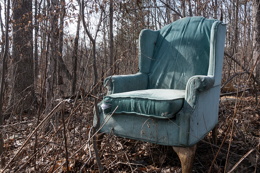 old tattered wingback chair in forest