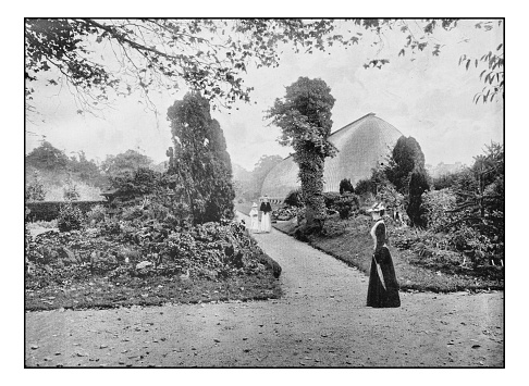 Antique London's photographs: Royal Horticultural Gardens, Chiswick