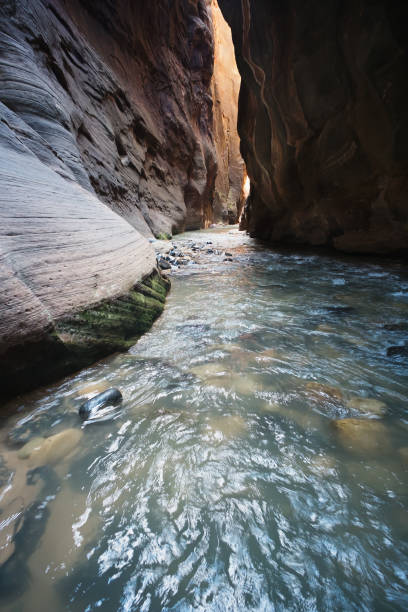 istock Virgin River in the Narrows 647392206