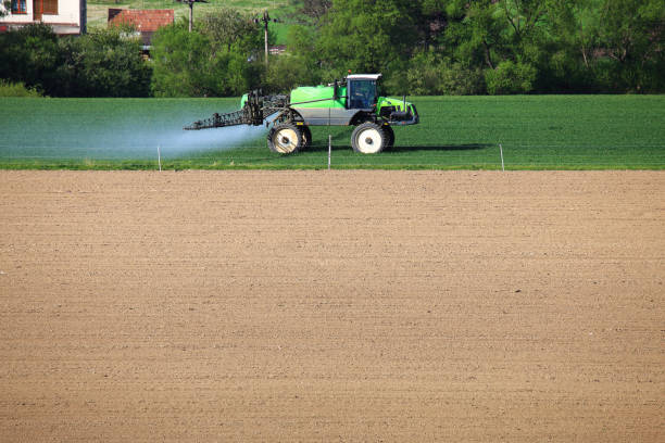 istock Tractor fertilizes green wheat field 647392300
