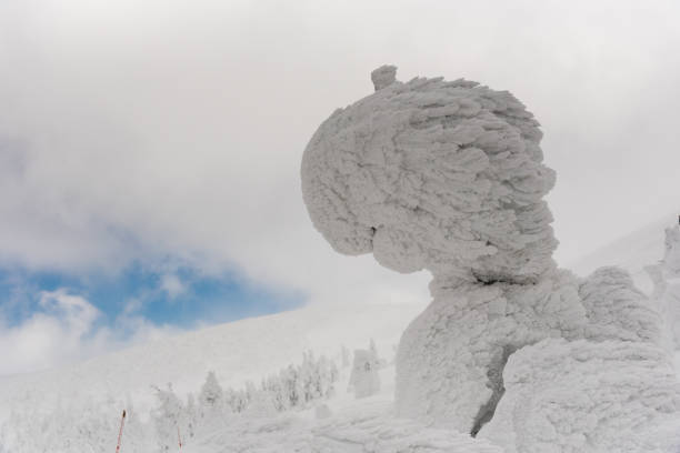 istock snow monster at zao mountain 647392726