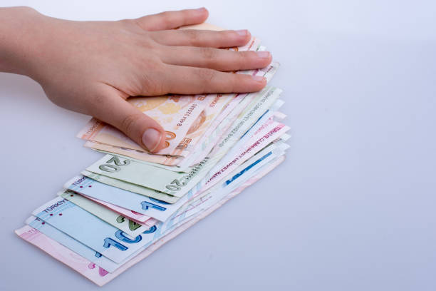 istock Hand holding Turksh Lira banknotes  in hand 647398996