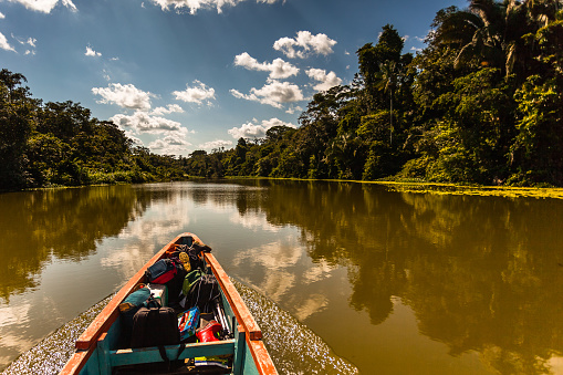 Reflected jungle in the Limoncocha lagoon in the Ecuadorian Amazon