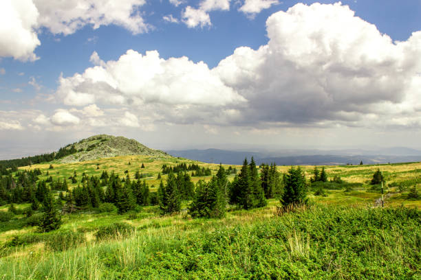 istock Sunny day in the mountain with beautiful clouds 647406140