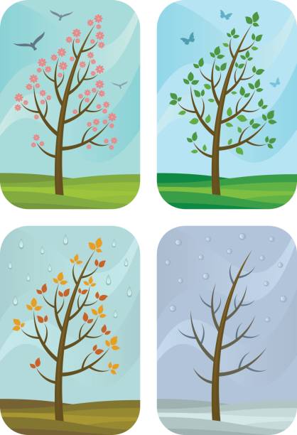 pory - bare tree rain autumn tree stock illustrations