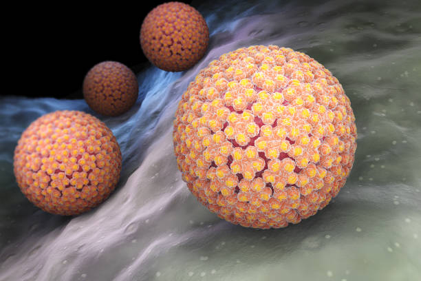istock Papilloma Virus. HPV 647419812