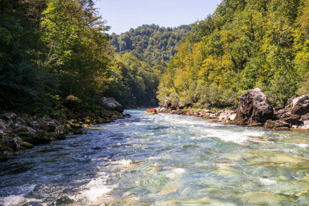 istock rafting boat on the fast mountain river Tara in Montenegro 647424956