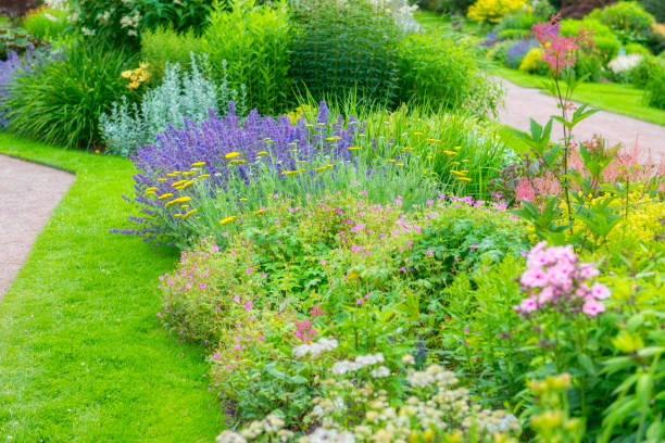 istock Beautiful summer flowerbeds 647433206