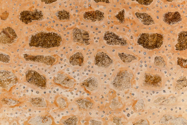 istock Stone texture of the wall,Stone wall 647433522
