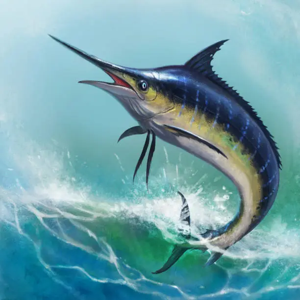 Blue marlin on a background of blue waves. blue marlin in the open ocean.