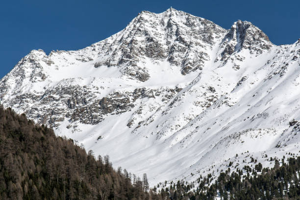 istock Winter moutain view detail 647434212
