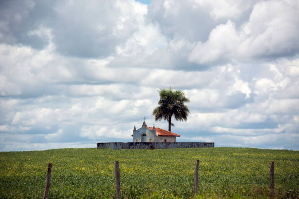 istock Church and palm tree on soybean farm in Bonito horizontal 647436726