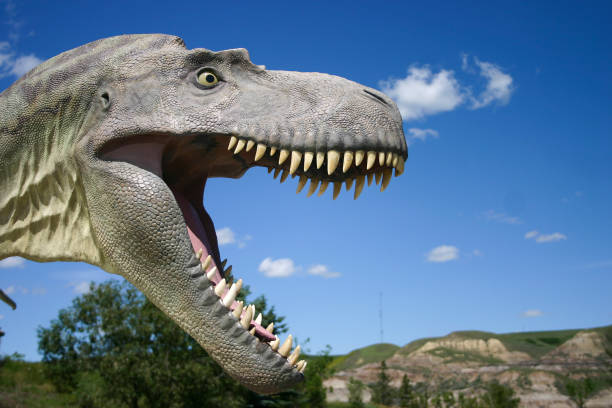 istock Tyrannosaurus head 647438138