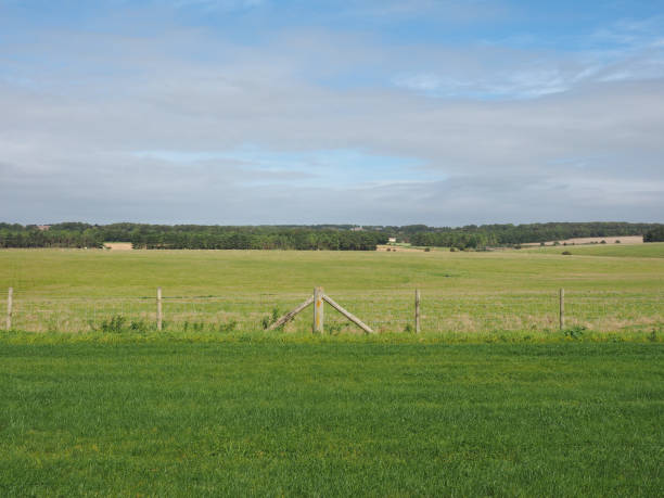 istock English country panorama in Salisbury 647447886