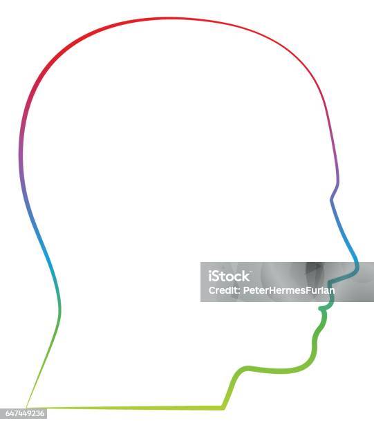 Head Profile View Colored Outline Illustration Stock Illustration - Download Image Now - Head, Human Head, Side View