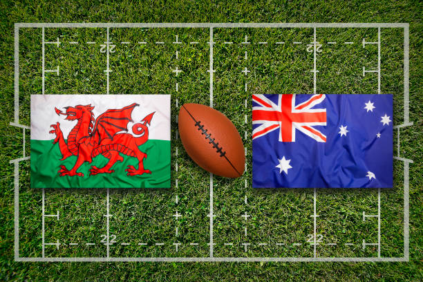 istock Wales vs. Australia flags on rugby field 647455524