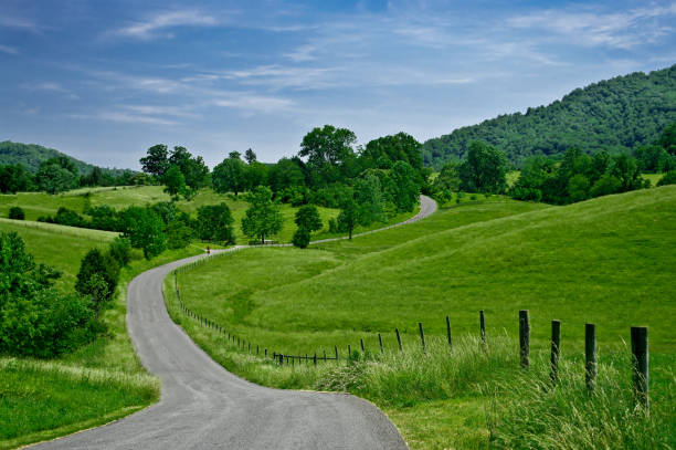 Byway A less-traveled road winds through the foothills of the Blue Ridge Mountains in western Virginia. foothills photos stock pictures, royalty-free photos & images