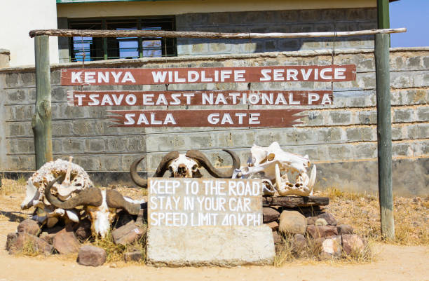 malindi, kenia - 25 stycznia 2017: wejście do parku narodowego tsavo east w kenii - crossing east driving transportation zdjęcia i obrazy z banku zdjęć