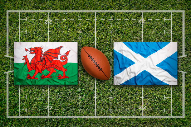 istock Wales vs. Scotland flags on rugby field 647456190