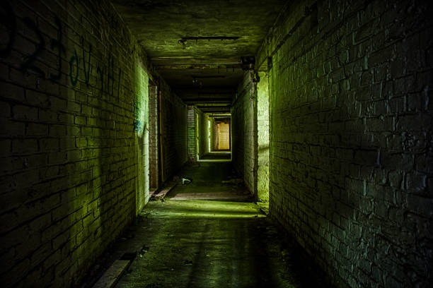 istock Cellar of abandoned building 647456808