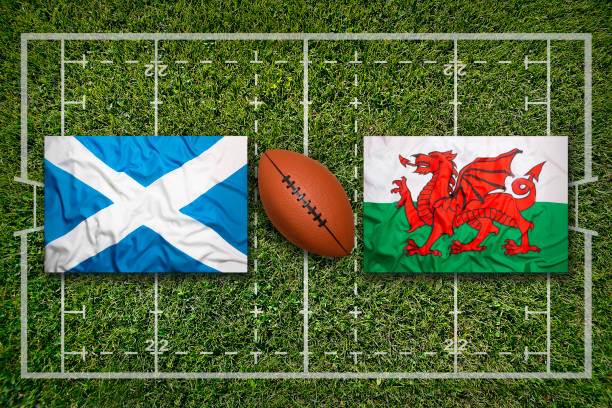 istock Scotland vs. Wales flags on rugby field 647456860