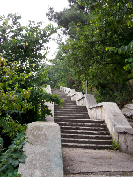istock stairs to the top 647459238