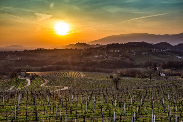 istock Saint Peter of Felletto-dusk 647459288