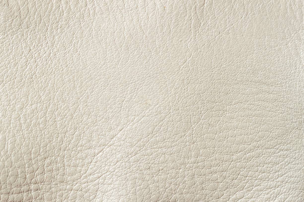 istock White cream paint genuine leather background or texture. For background , backdrop, substrate, composition use. With place for your text 647459432