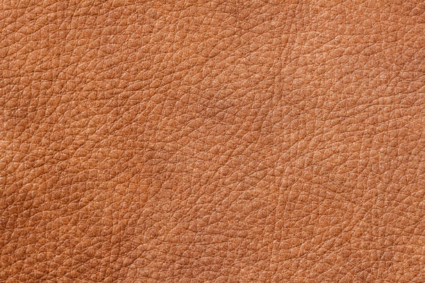 istock Texture of background for designer, brown color, pattern of genuine leather surface. For background , backdrop, substrate, composition use 647462252