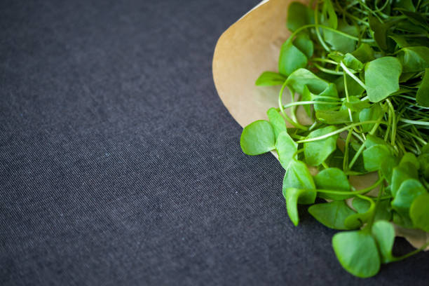 Portulaca salad leafs in the reusable paper bag lay on the dark table