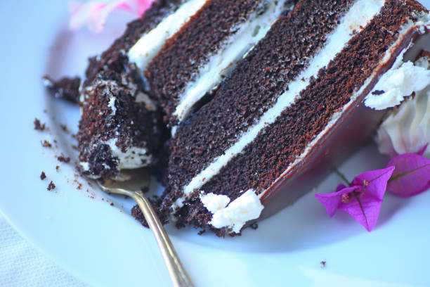 istock Chocolate cake with cream filling 647477048