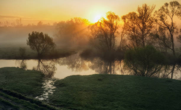 nebbia di mattina - tranquil scene colors flowing water relaxation foto e immagini stock