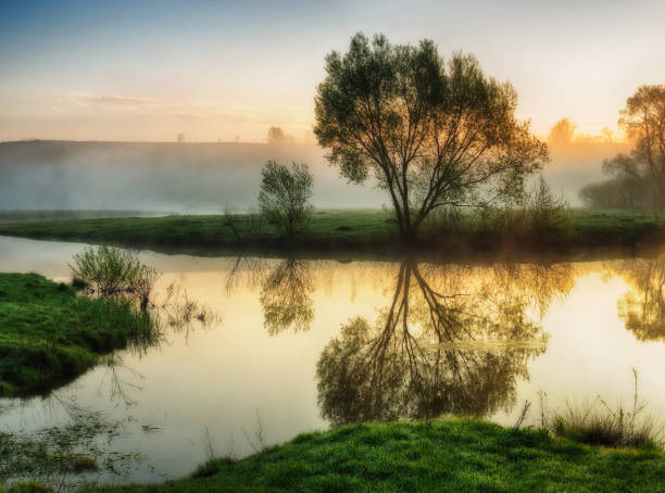 nebbia di mattina - tranquil scene colors flowing water relaxation foto e immagini stock