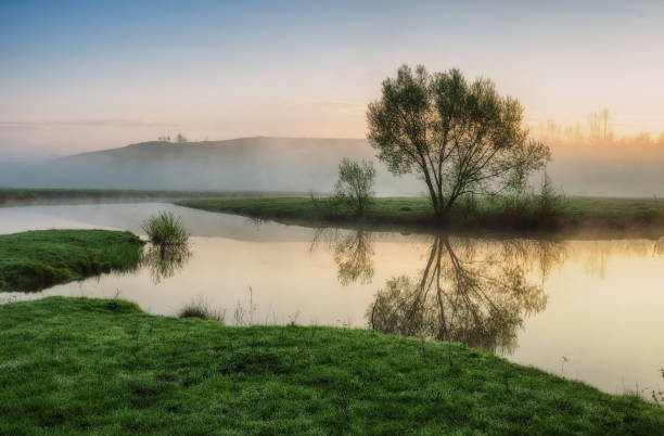 nebbia di mattina - tranquil scene colors flowing water relaxation foto e immagini stock