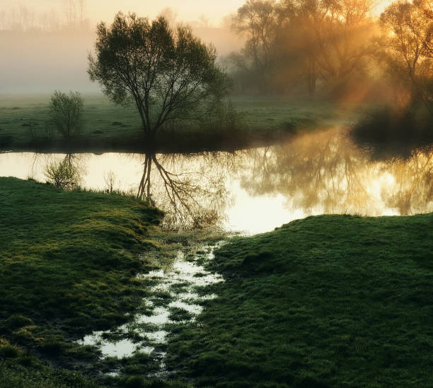 nebbia di mattina - tranquil scene colors flowing water relaxation foto e immagini stock